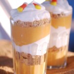 pumpkin parfaits 011
