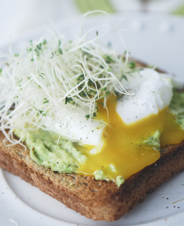 avocadosandwich