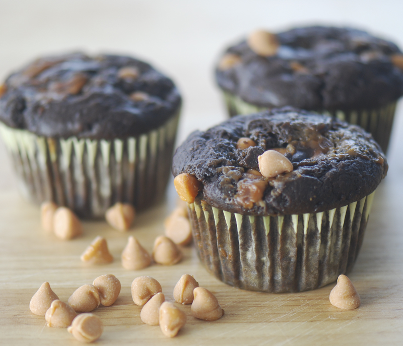 cupcakes 017