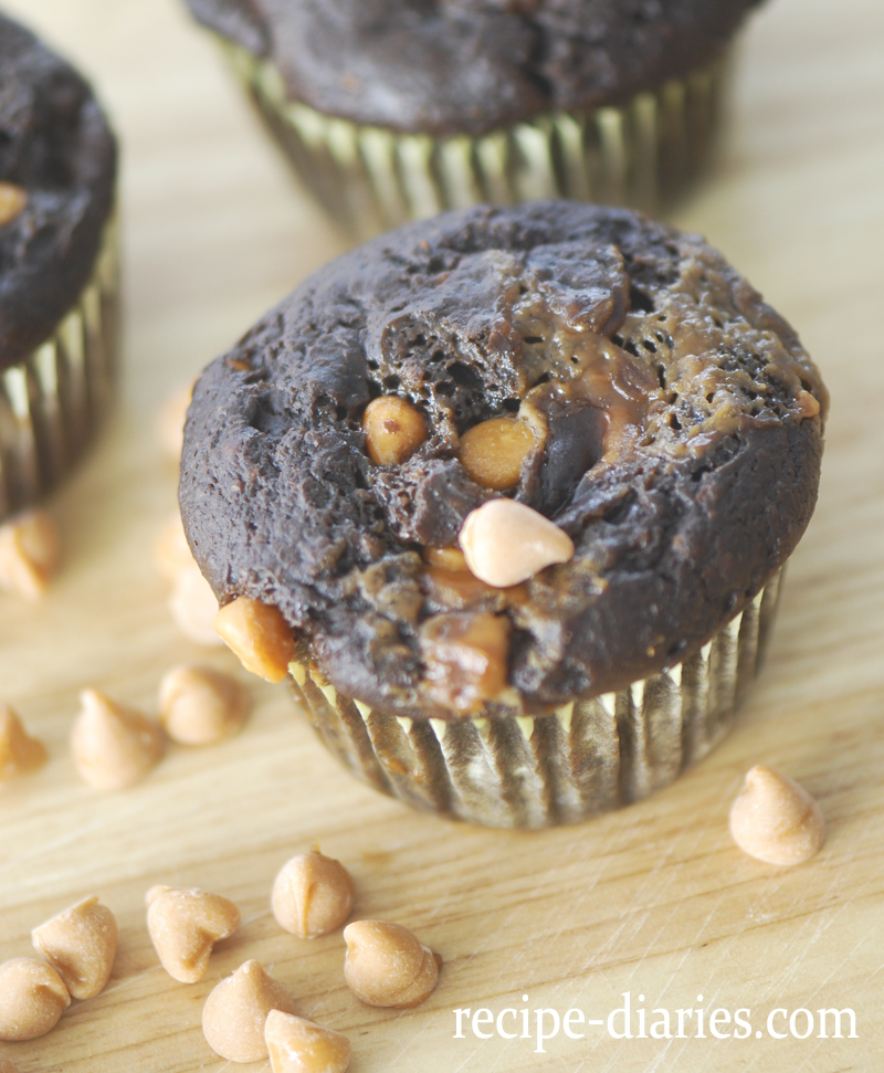 cupcakes2