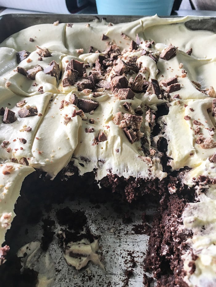 Weight Watchers - Better than Sex Cake