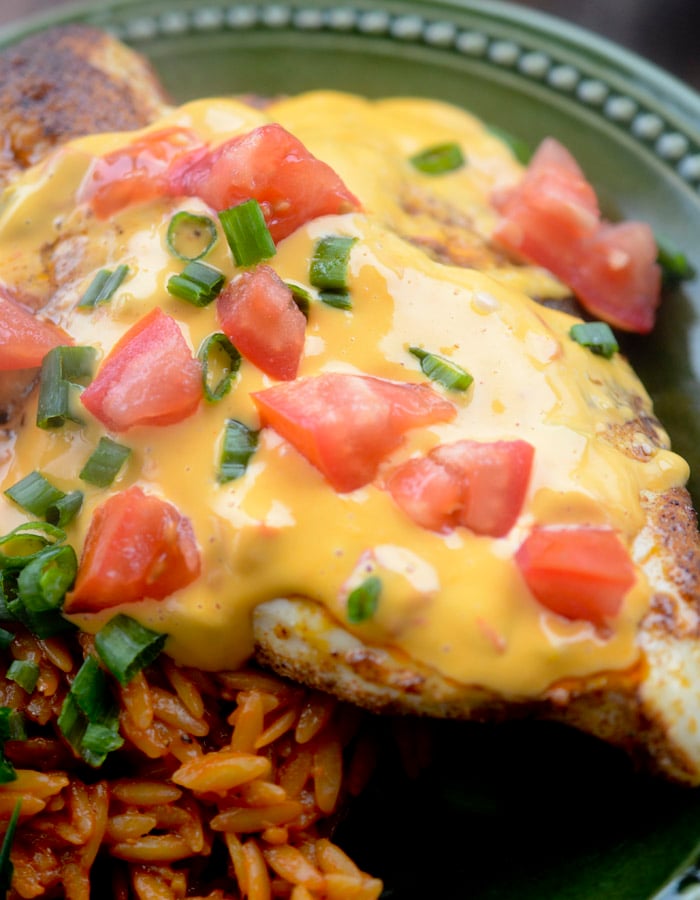 Queso Smothered Chicken & Rice - Plain Chicken