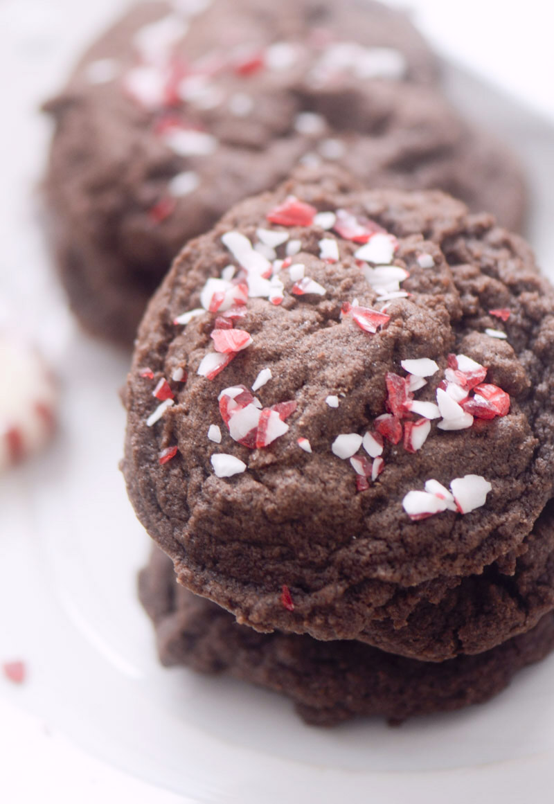 chocolate peppermint cookies 017