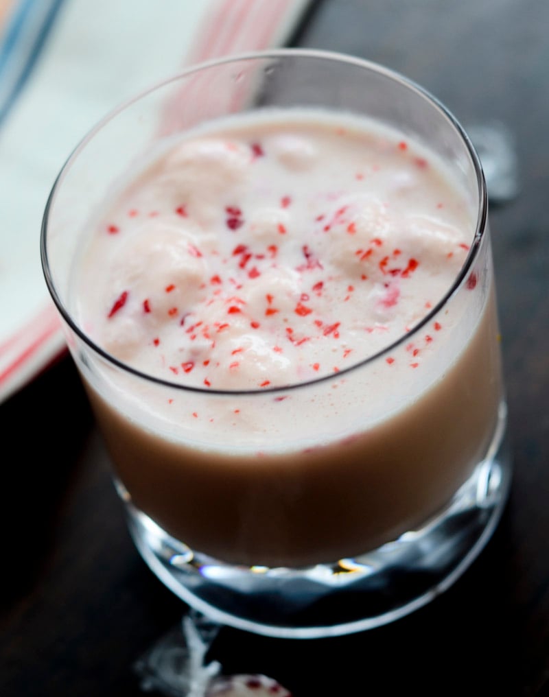 peppermint eggnog punch 038