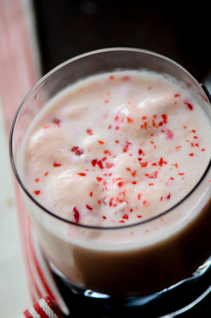 peppermint eggnog punch 046