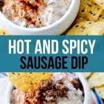 Hot And Spicy Sausage Dip Recipe Diaries,Weeping Willow Tree In Fall