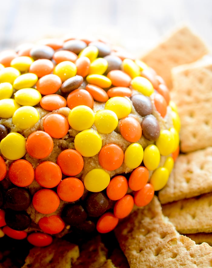 candy bar cheesecake ball 004