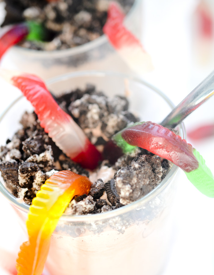 adult worm and dirt cups 009