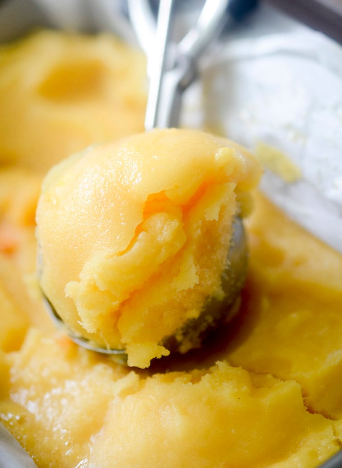 Tropical Sorbet