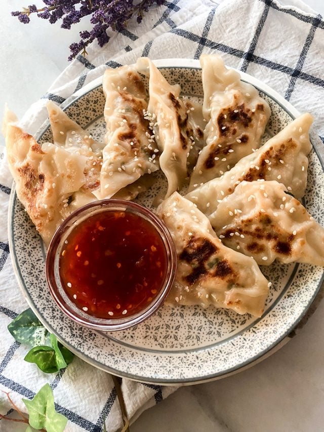 Turkey Potstickers garnished with sesame seeds on a colorful plate