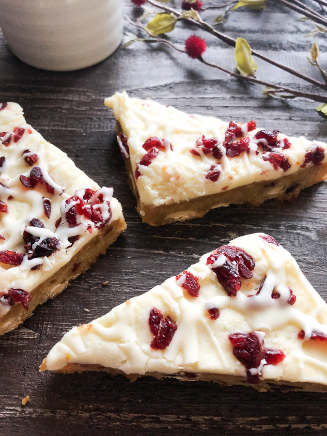 Cranberry Bliss Bars drizzled with white chocolate. 