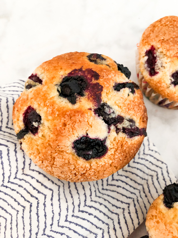 Jumbo Blueberry Muffins 
