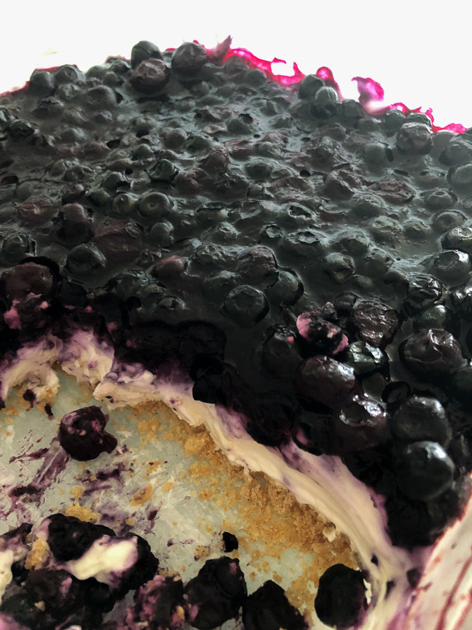 No Bake Blueberry Cheesecake 