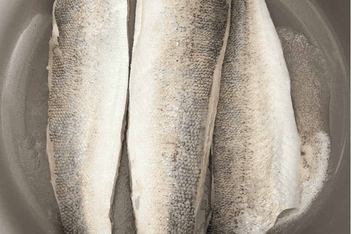 Fresh walleye searing in pan. 