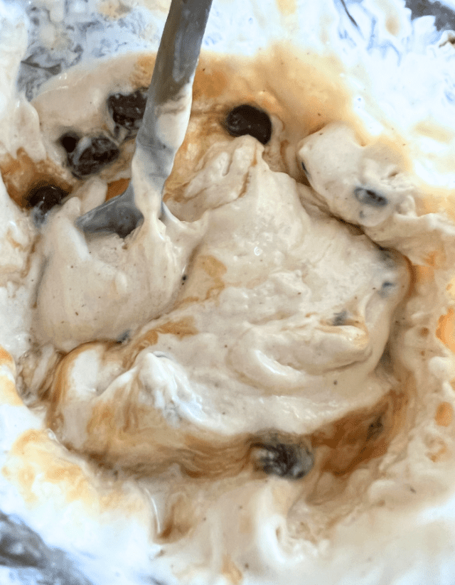 Ninja Creami Cottage Cheese Ice Cream Tiktok Recipe Diaries