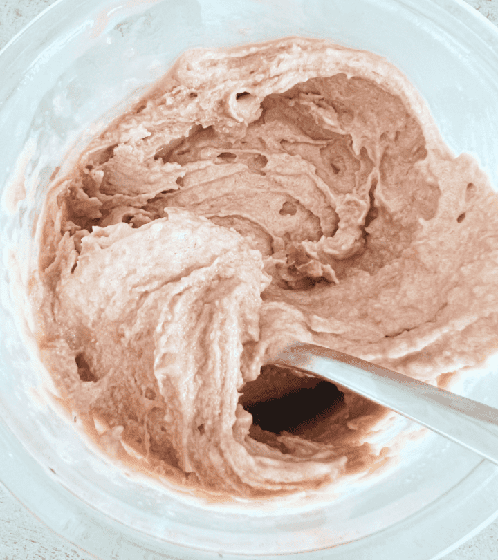 Ninja Creami Protein Ice Cream Fairlife Recipe Diaries