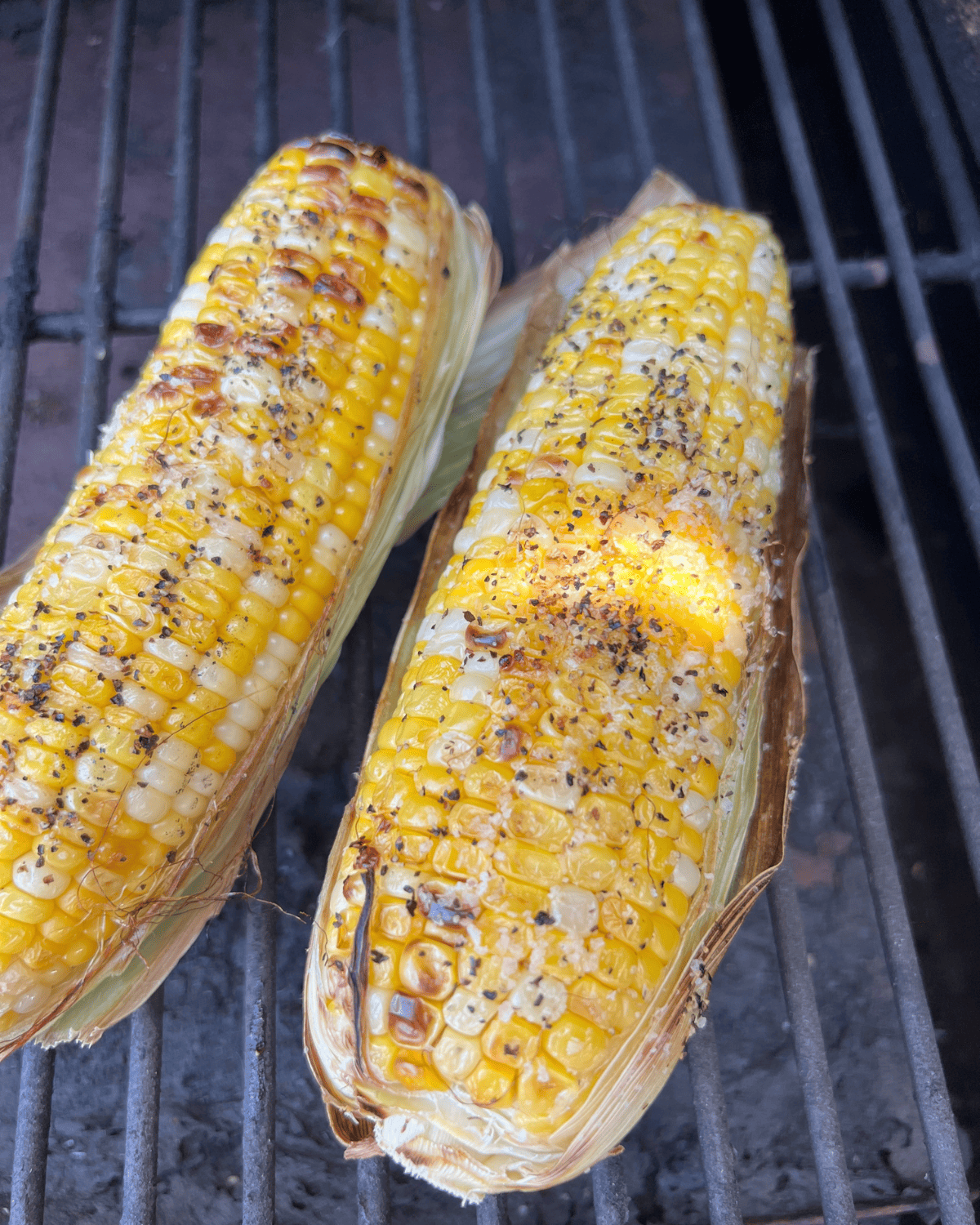 Seasoned corn on the cob on a grill or smoker. 