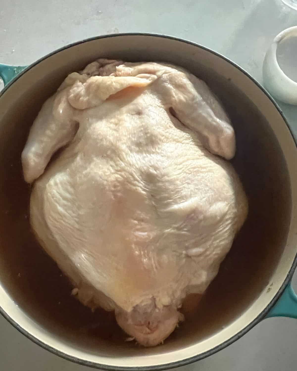 One whole chicken brining in a pot of sugar, salt, and water. 