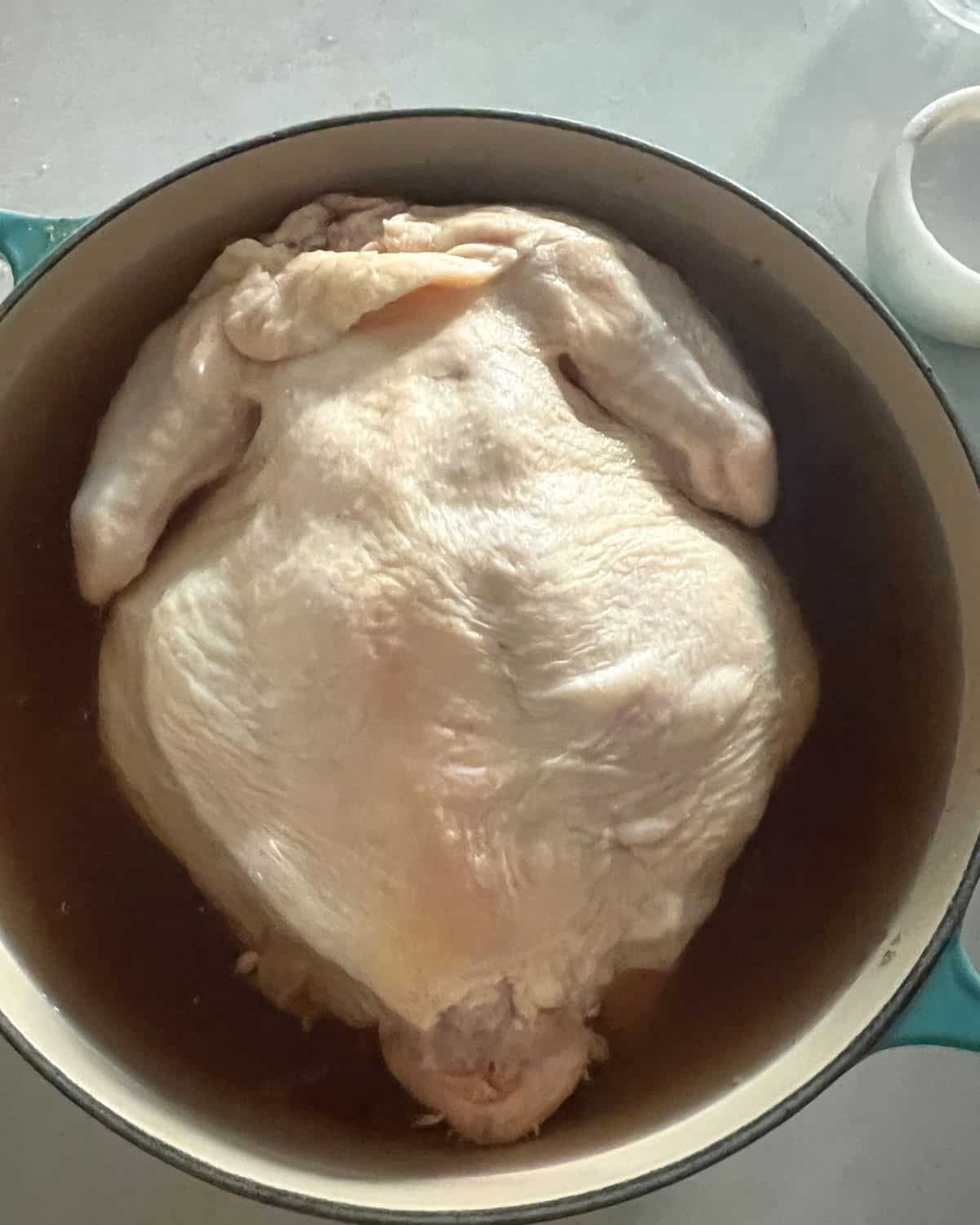 One whole chicken brining in a pot of sugar, salt, and water.