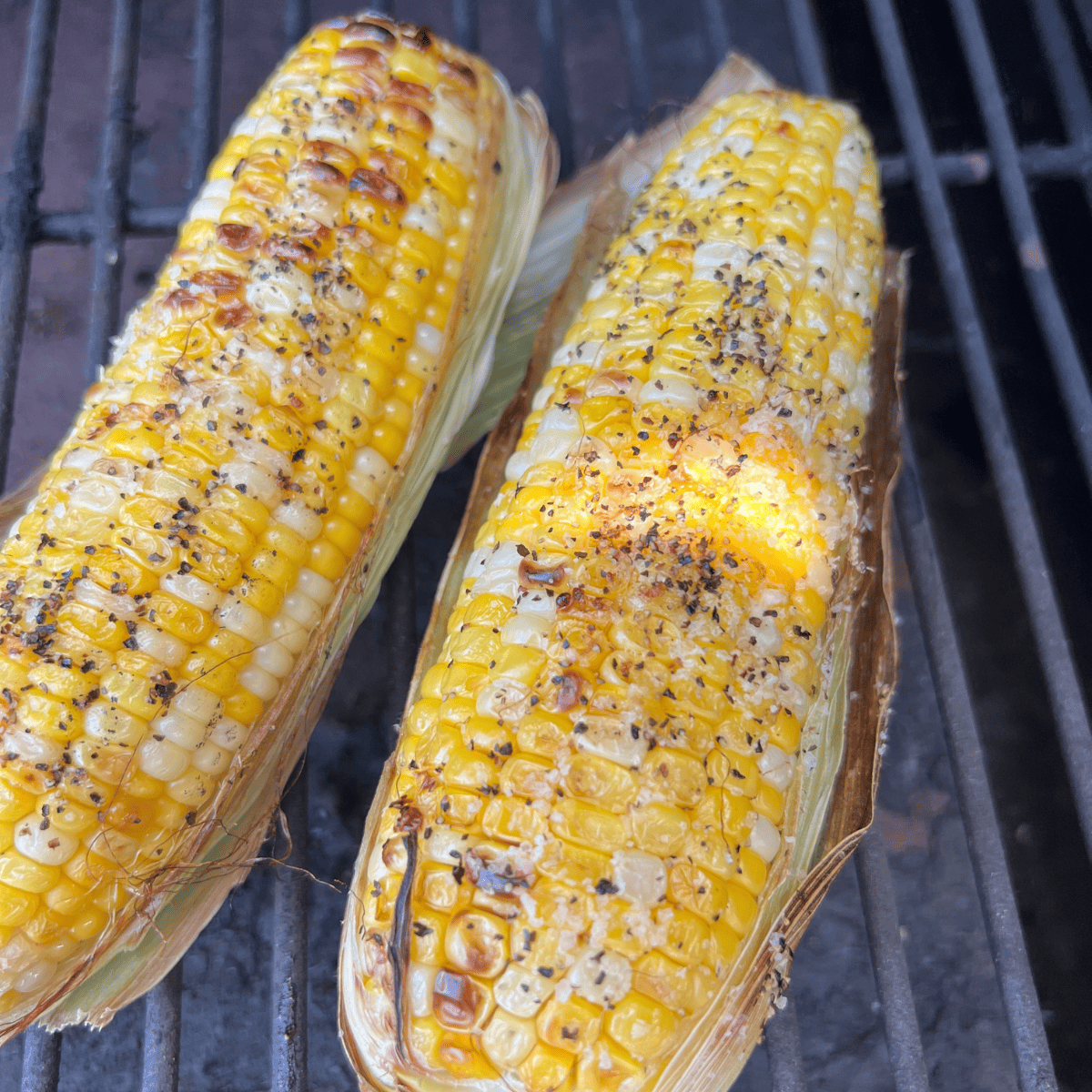 finished corn on the cob that has been cooked on a smoker.