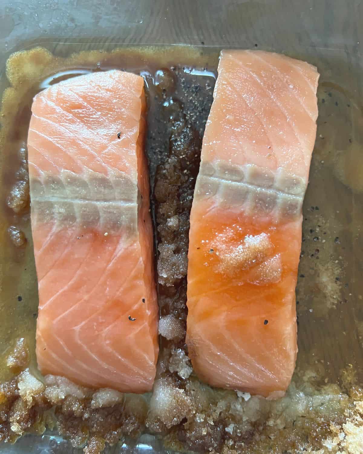 Salmon resting on top of a brown sugar brine that is ready to be put on a smoker. 