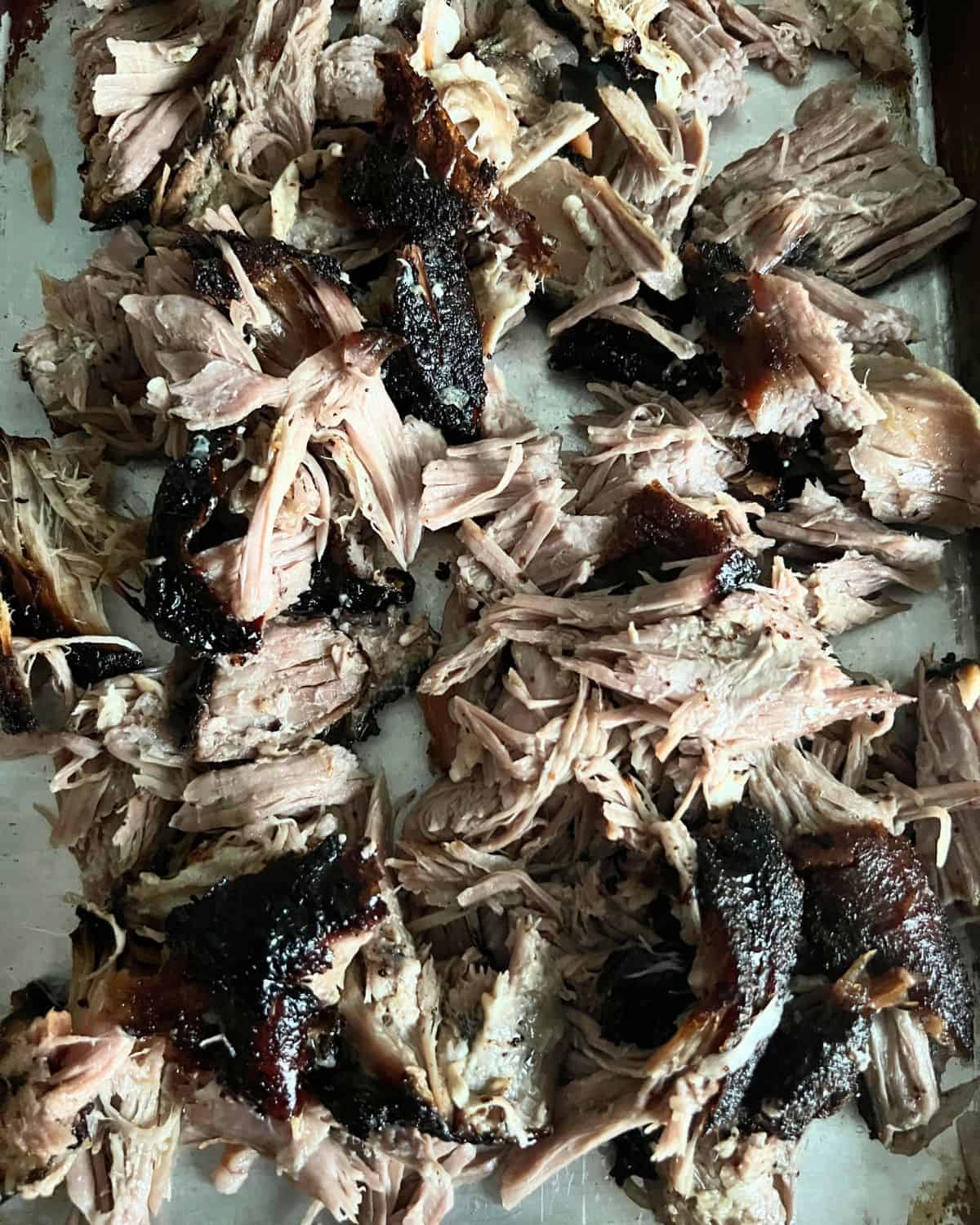 Shredded smoked pulled pork on a sheet pan. 