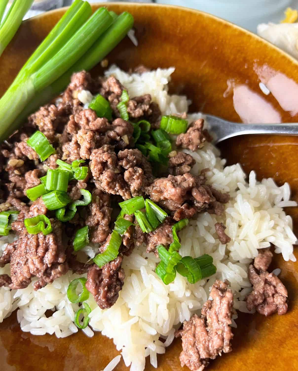 Beef bulgogi on top of cooked rice and topped with green onions. 