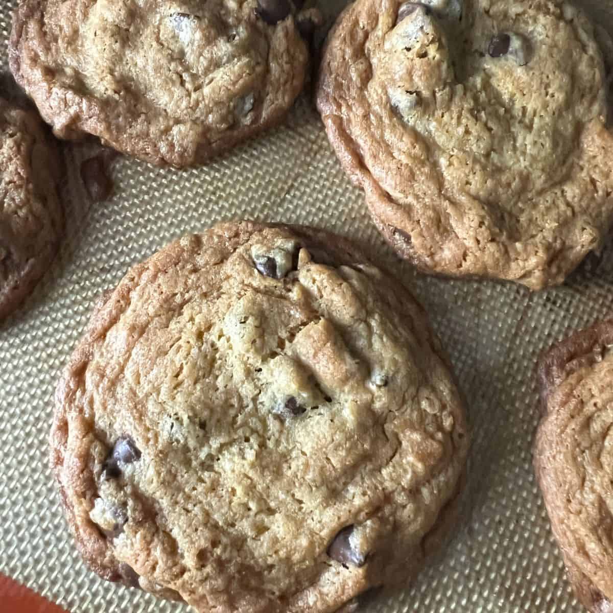 Alton Brown's the Chewy chocolate chip cookie. 
