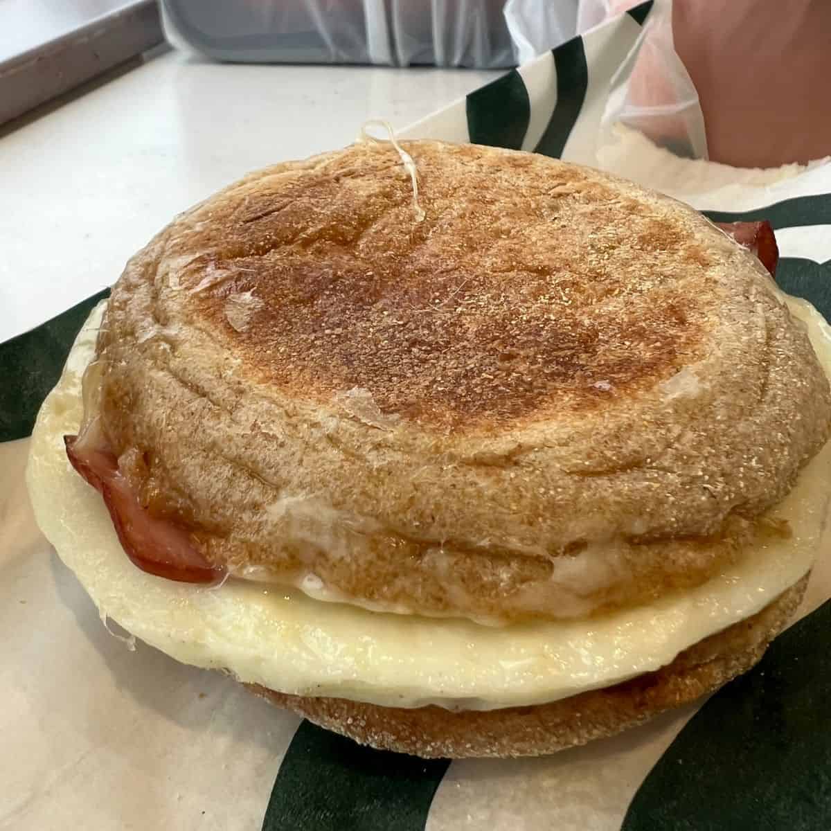 Egg white and turkey bacon sandwich at Starbucks. 