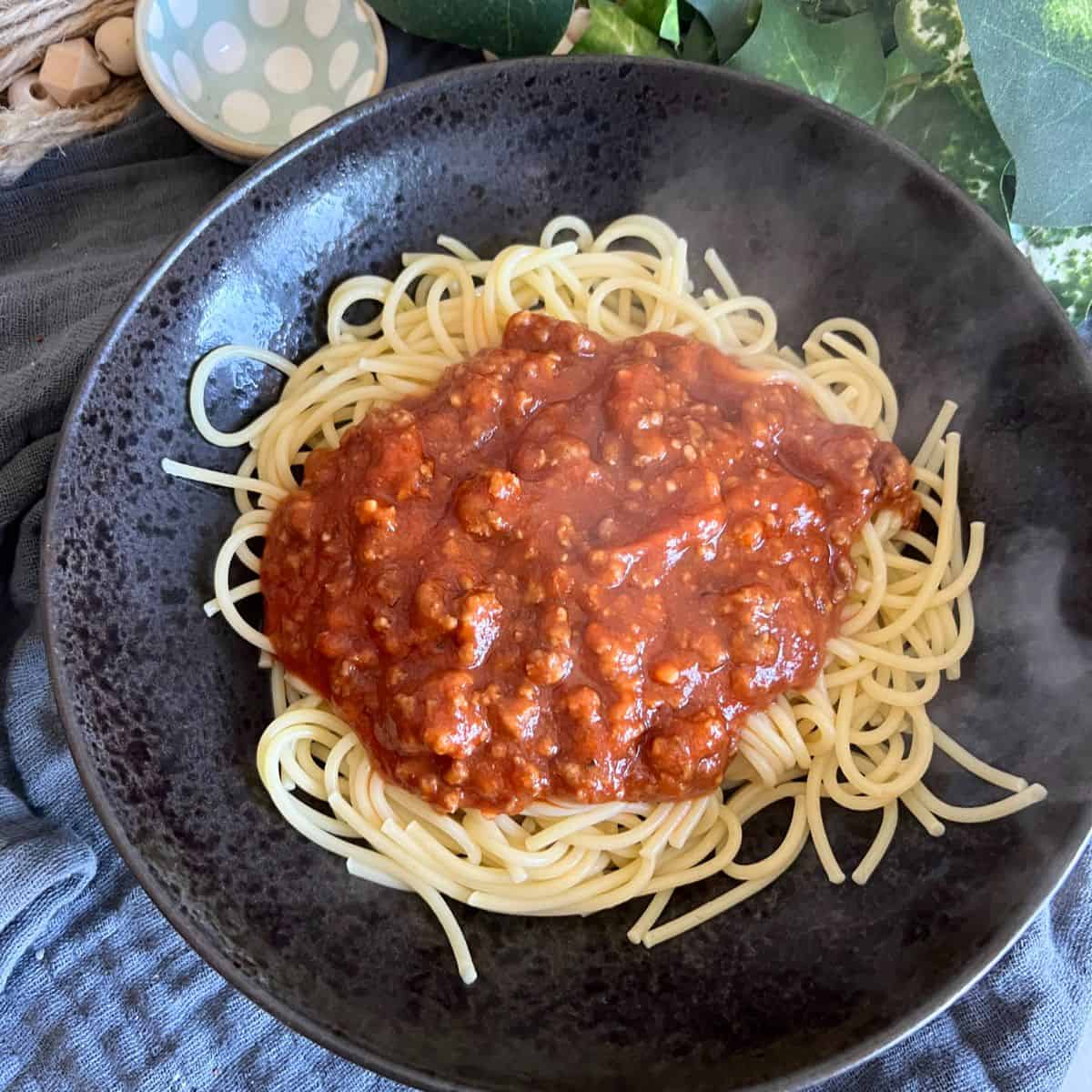 A basic spaghetti sauce recipe made more Weight Watcher friendly by just changing a few simple ingredients around and lightening it up a bit.