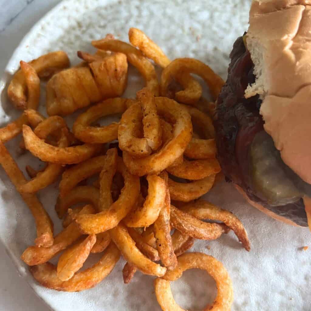 Air Fryer Arby's Frozen Curly Fries Recipe Diaries