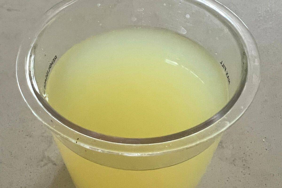 Margarita Mix in ninja creami pint.