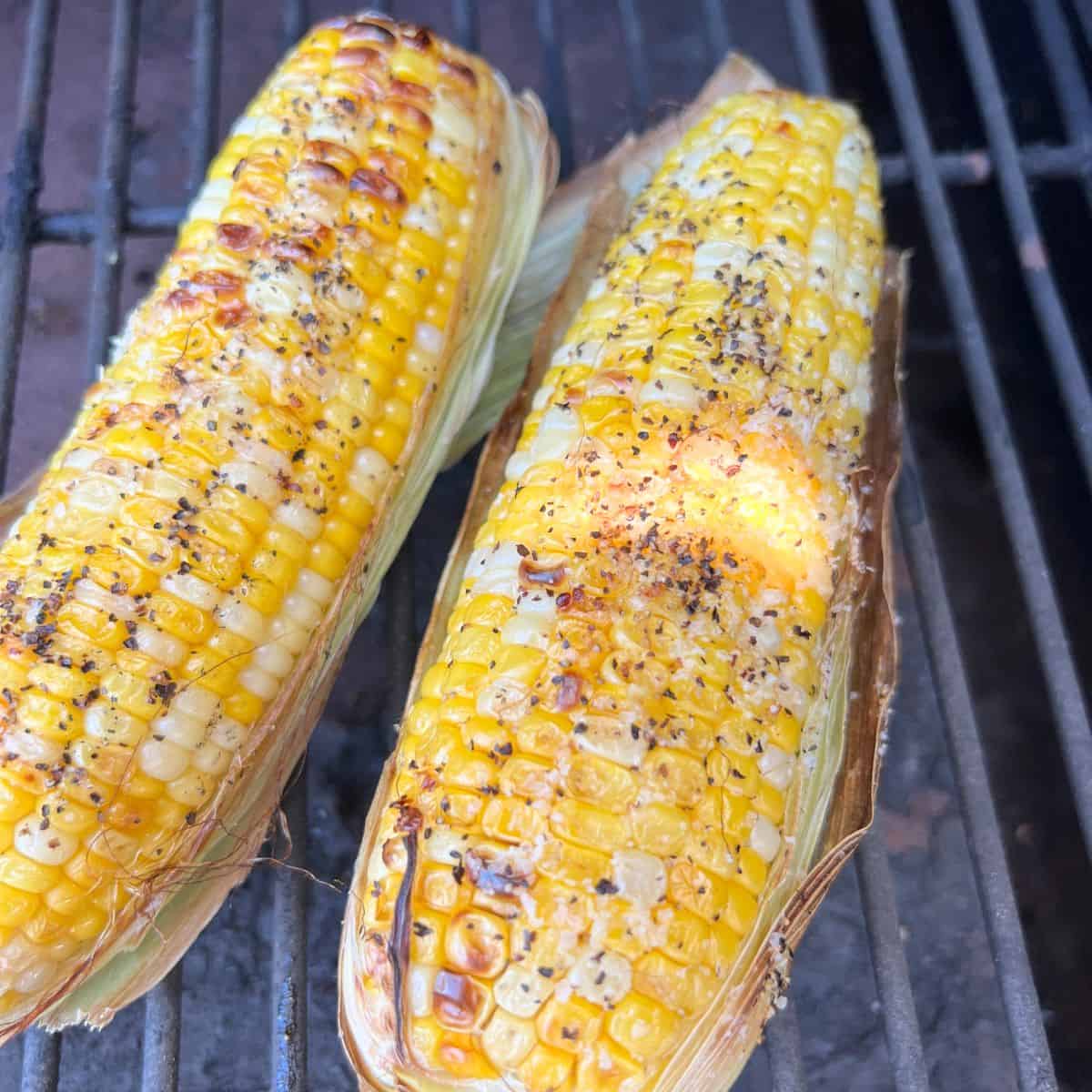 Seasoned corn on the cob in husks on a smoker.
