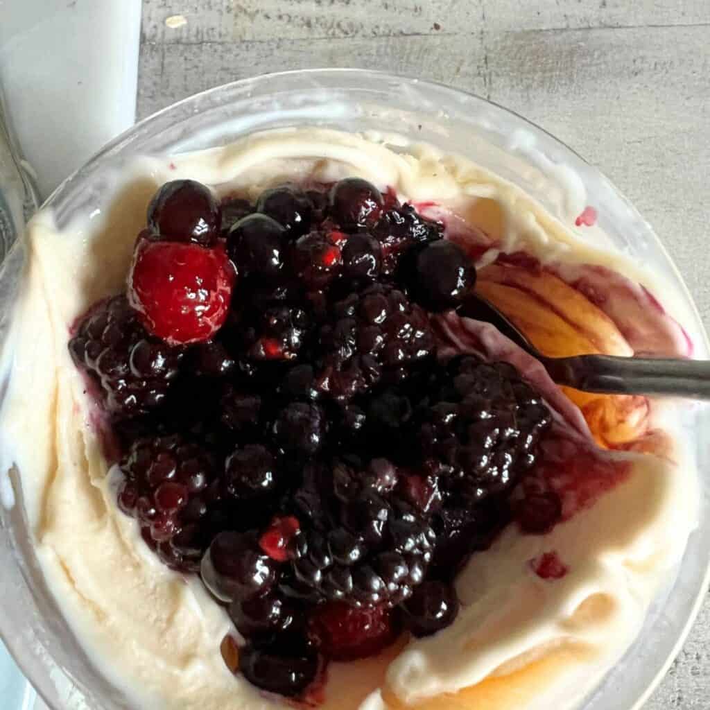 DAIRY FREE ICE CREAM NINJA CREAMI RECIPE visual data 5