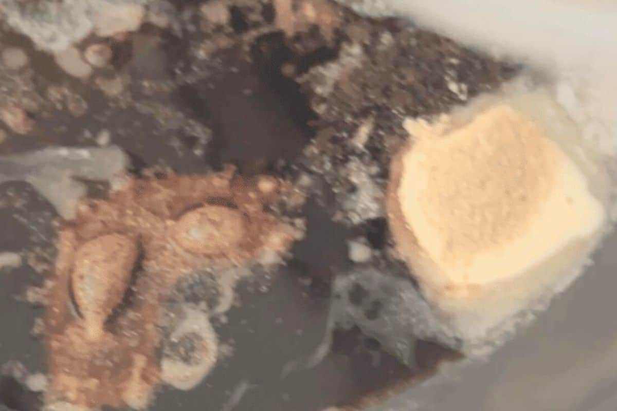 Sauce and butter melting in a pan.