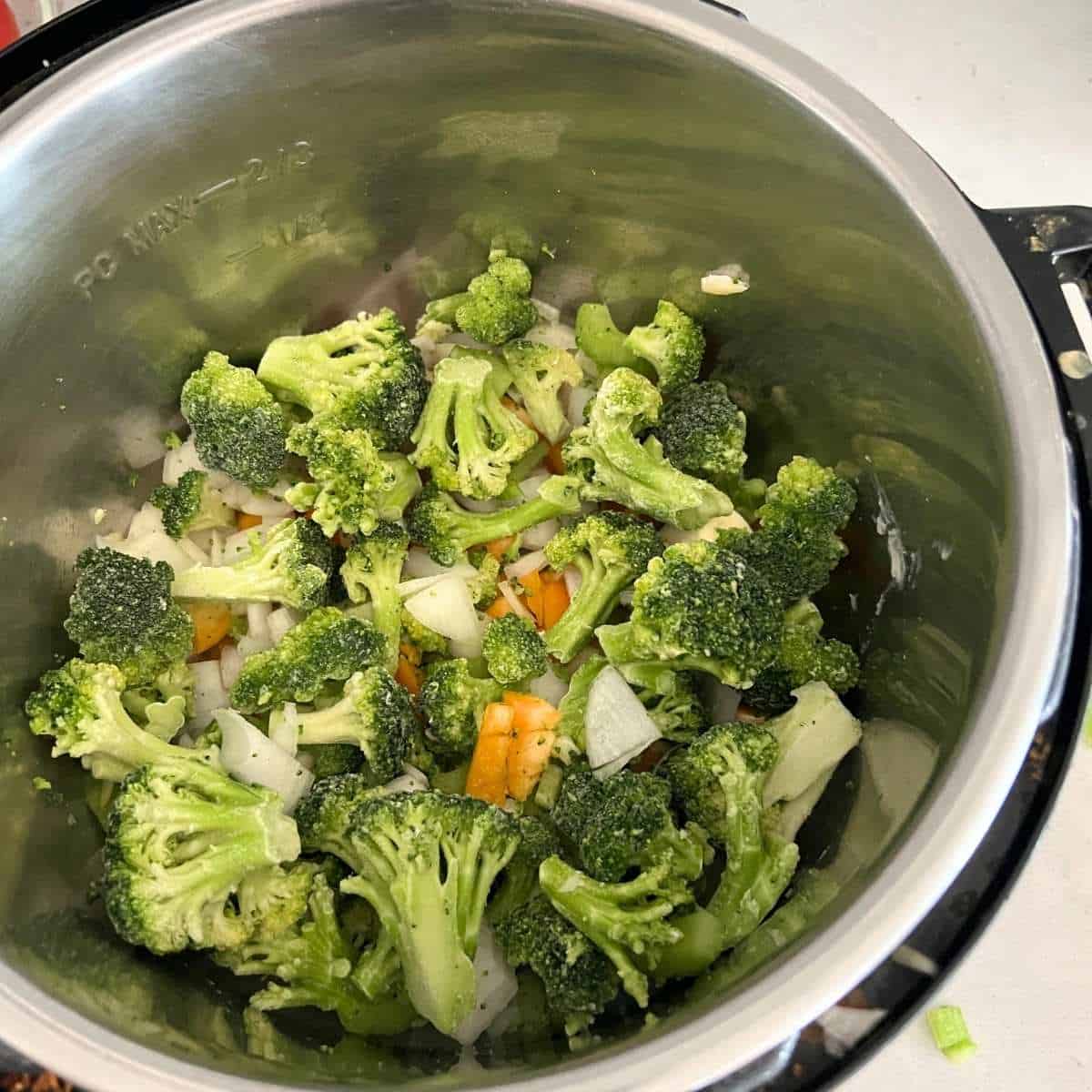 Vegetables and broccoli in Instant Pot. 