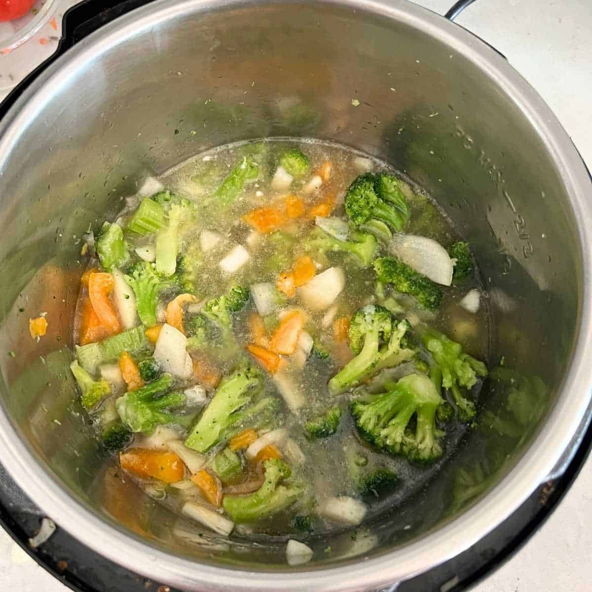 Vegetables and broth in Instant Pot. 