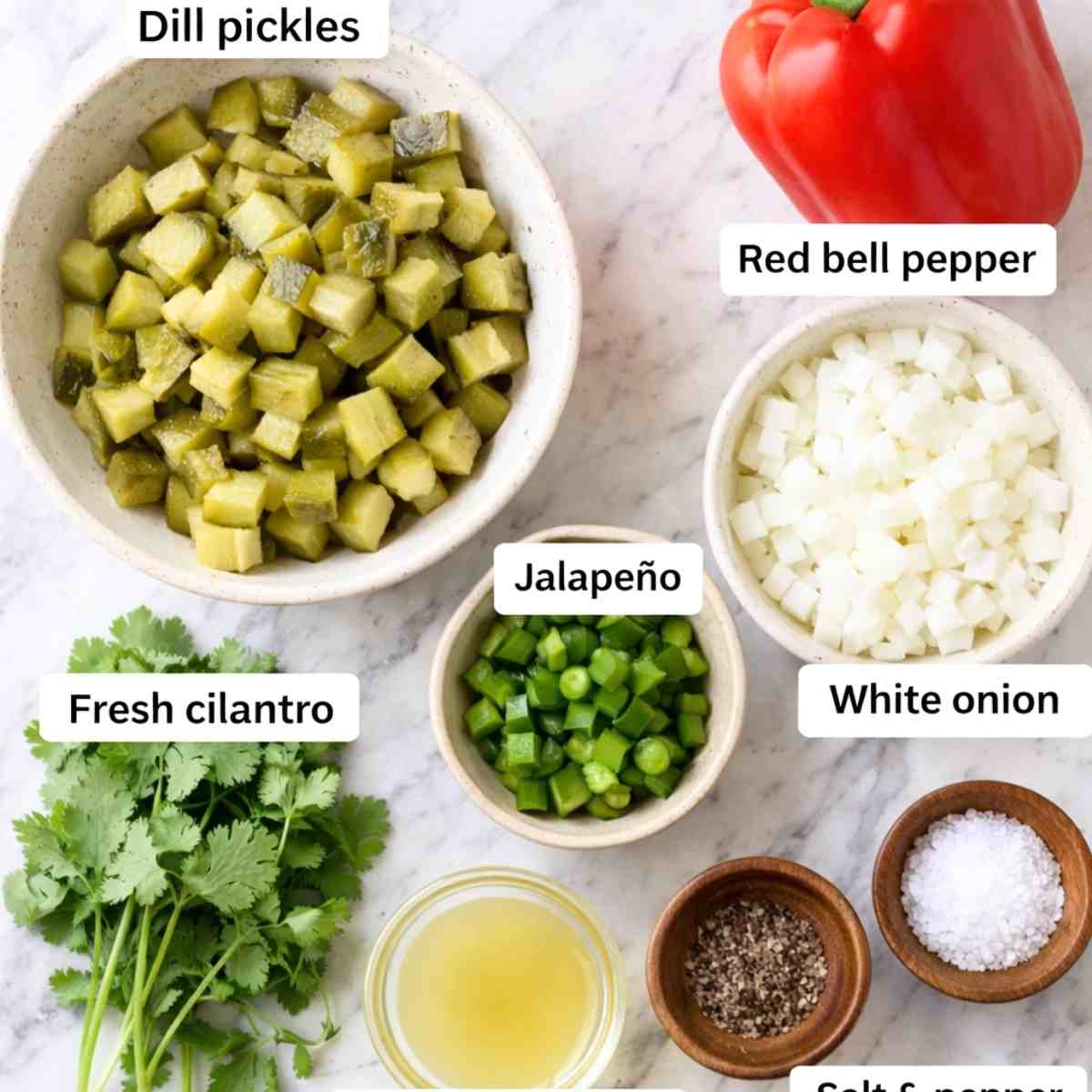 Ingredients needed for pickle de gallo.