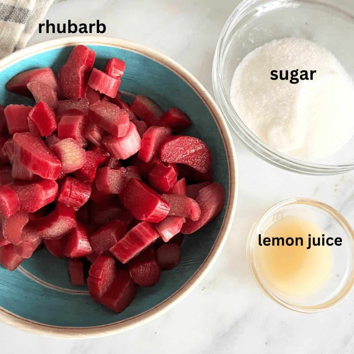 Ingredients needed for Rhubarb fruit leather.