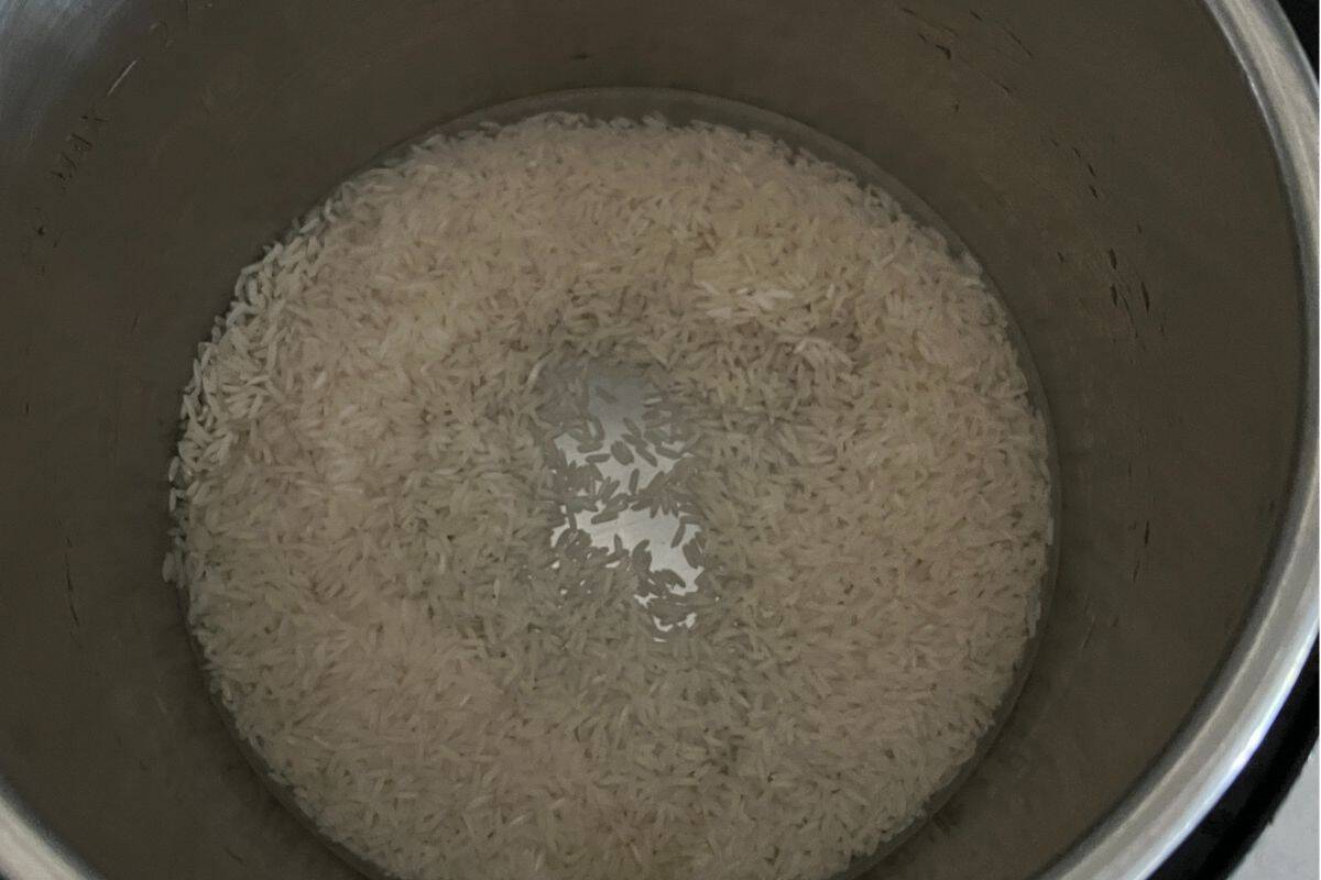Water and Jasmine rice in Instant Pot.