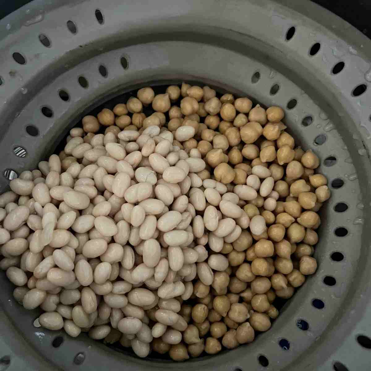 Drained chickpeas and northern beans in a colander.