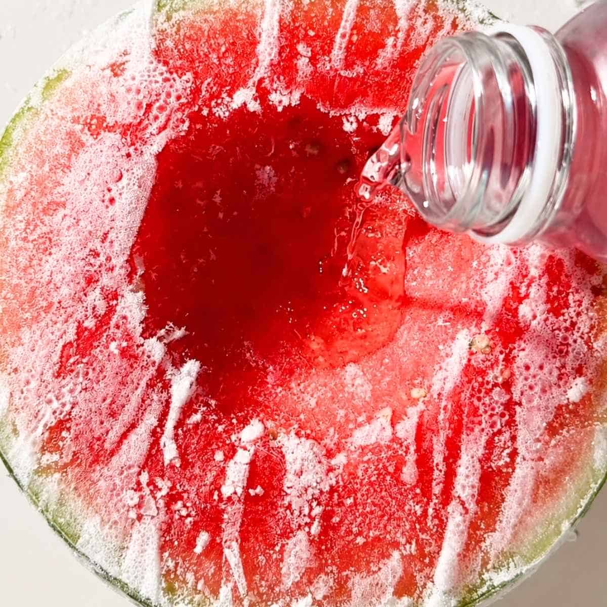 Viral wateremelon ice cream trend. 